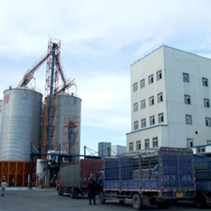 Complete Animal Cattle Livestock Chicken Poultry Feed Making Plant